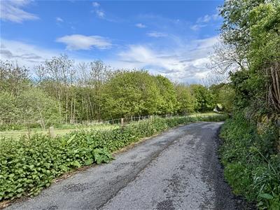 Picture 26